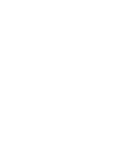 배경 악세사리