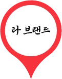 타 브랜드 핀